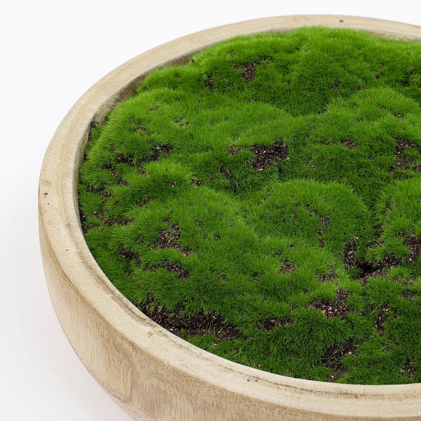 Wood Decorative Bowl with Artificial Moss