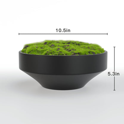 Black Ceramic Decorative Bowl with Artificial Moss