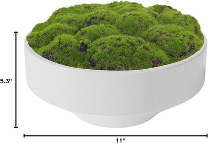 White Ceramic Decorative Bowl with Artificial Moss