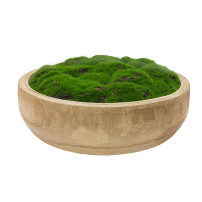 Green moss in a round wooden bowl on white background, natural home decor