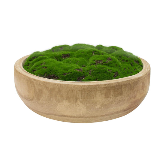 Green moss in a round wooden bowl on white background, natural home decor