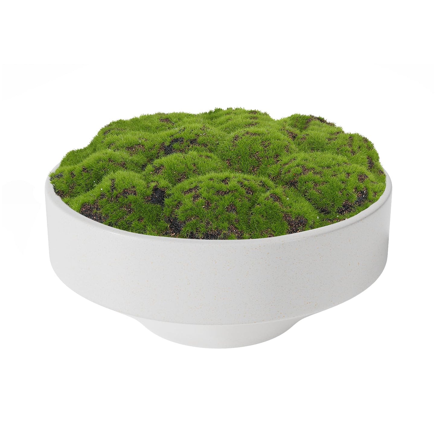 White Ceramic Decorative Bowl with Artificial Moss