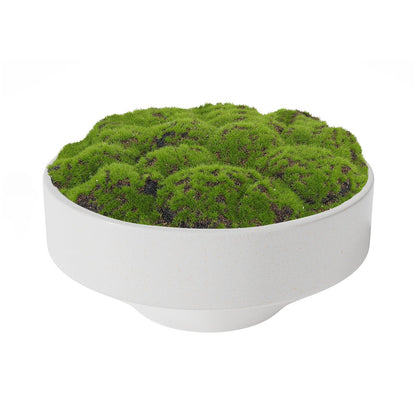 White Ceramic Decorative Bowl with Artificial Moss