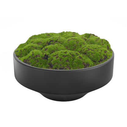 Black Ceramic Decorative Bowl with Artificial Moss