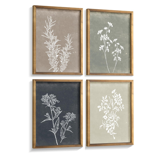 Framed Botanical Print Wall Art, Set of 4