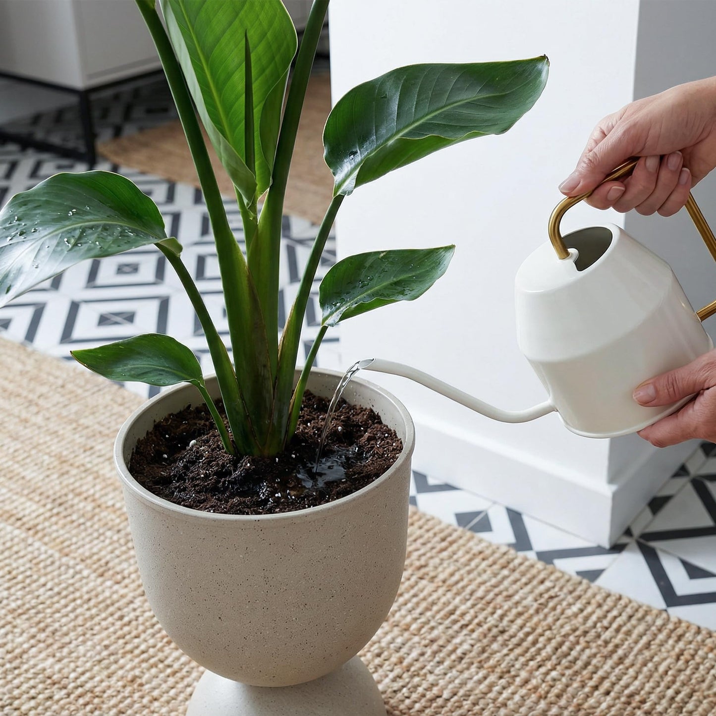 Outdoor Planters, Set of 2