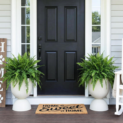 Outdoor Planters, Set of 2