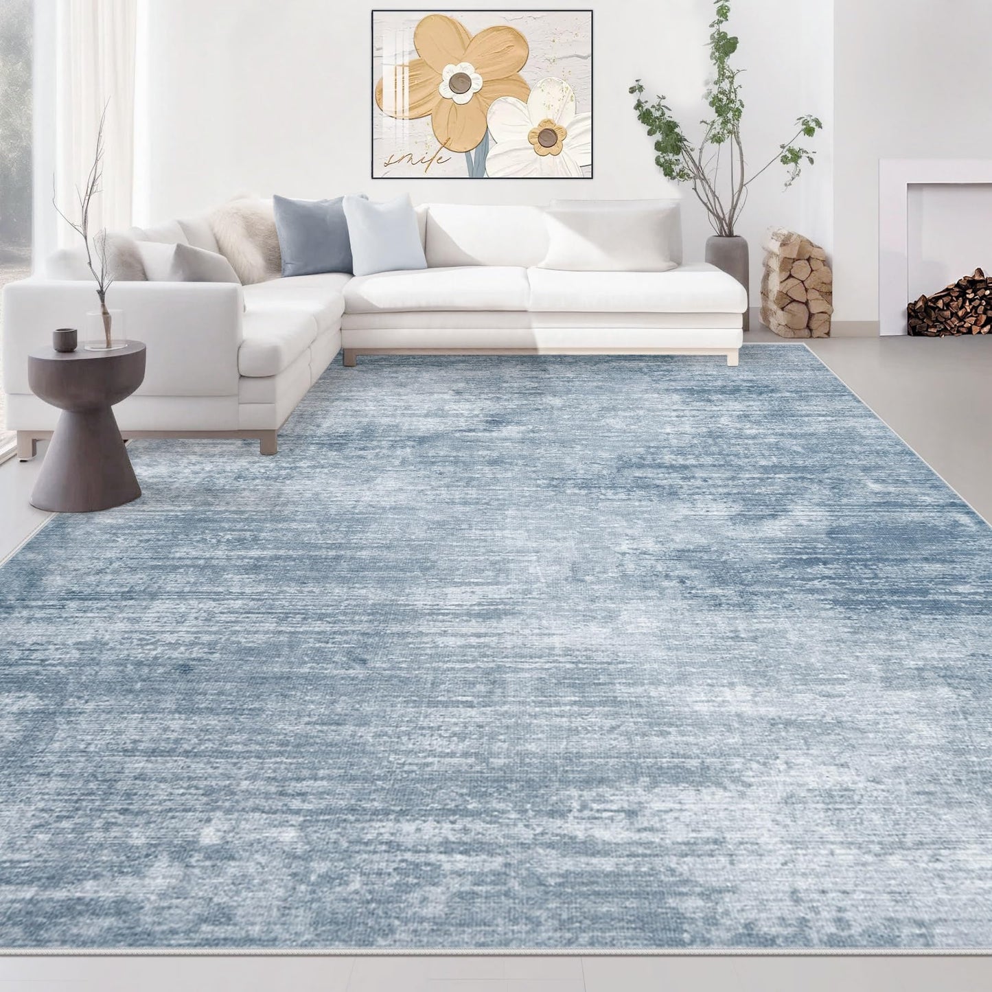 10' x14' Area Rug